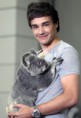 /album/fotogaleria/liam-of-one-direction-meets-a-koala-bear-jpg/