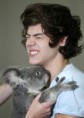 /album/fotogaleria/harry-of-one-direction-meets-a-koala-bear-jpg/